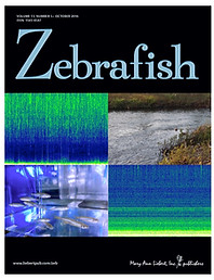 zebrafish cover example.jpg