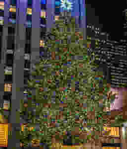 arbol-rockefeller-navidades-nueva-york-160928170522014-1600x1068.jpeg