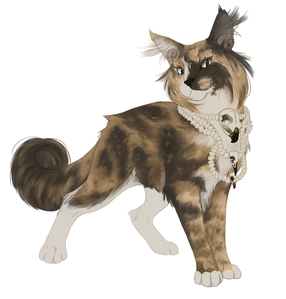 sera.png