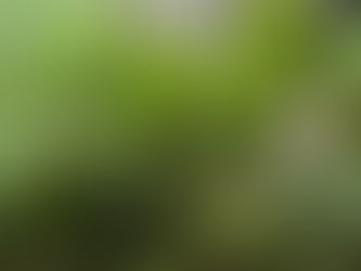 FEB/26 News
