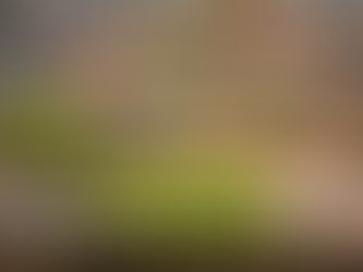 3 Trends in bloemen en planten