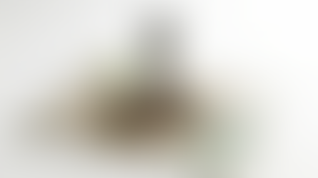 Briefing Note: UK Statement of Strategic Priorities for Telecommunications