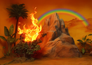 Le palmier, le feu et la montagne 