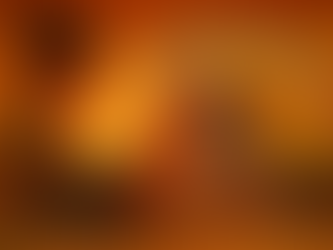 Le palmier, le feu et la montagne