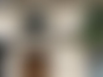 DPE d'un immeuble ancien et généalogie foncière à Paris