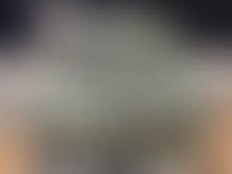 Mulher é presa pela PF ao desembarcar com 13 kg de skunk no Aeroporto de Porto Velho