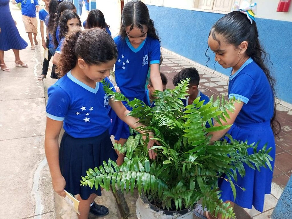 Crianças podem aprender o combate ao Aedes de forma prática. Foto: cedida