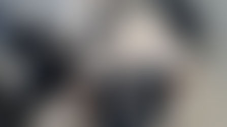 Cão farejador encontra mais de 7 kg de skank escondidos em sacos de farinha no Acre