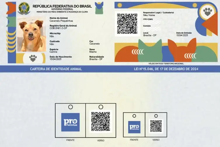 Tela de início do Sinpatinhas, que permite o cadastro de cães e gatos. Foto: Planalto/Divulgação