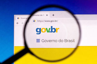 GOV.BR facilita a vida do brasileiro e reúne 13 documentos que podem ser emitidos pela internet