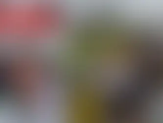 Nikolas alerta para golpe que pede doações para caminhada: “não doe!”