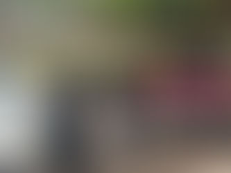 Motorista sofre mal súbito, perde controle de veículo e bate contra árvore no Parque da Maternidade; pai e filho ficam feridos em Rio Branco