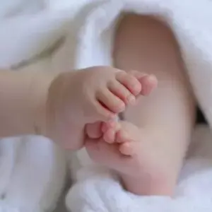 ree