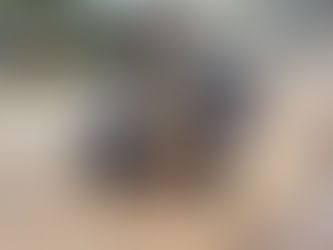 Homem é agredido com ripas enquanto dormia em via pública na capital
