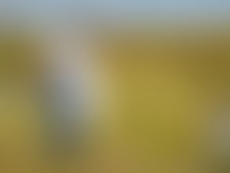 Deputado fortalece defesa do produtor rural e denuncia abandono da Amazônia pelo governo Lula e Marina