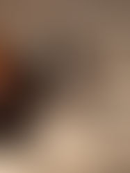 Arlo 1 year old Sprocker - ON HOMECHECK