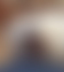 Luna 7 month old springer x pointer