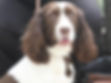 MOLLY