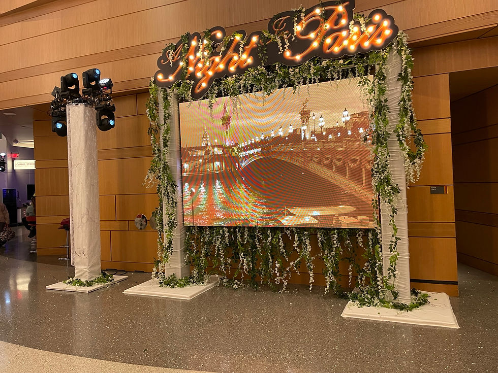 Poto Paris Video Panel Display