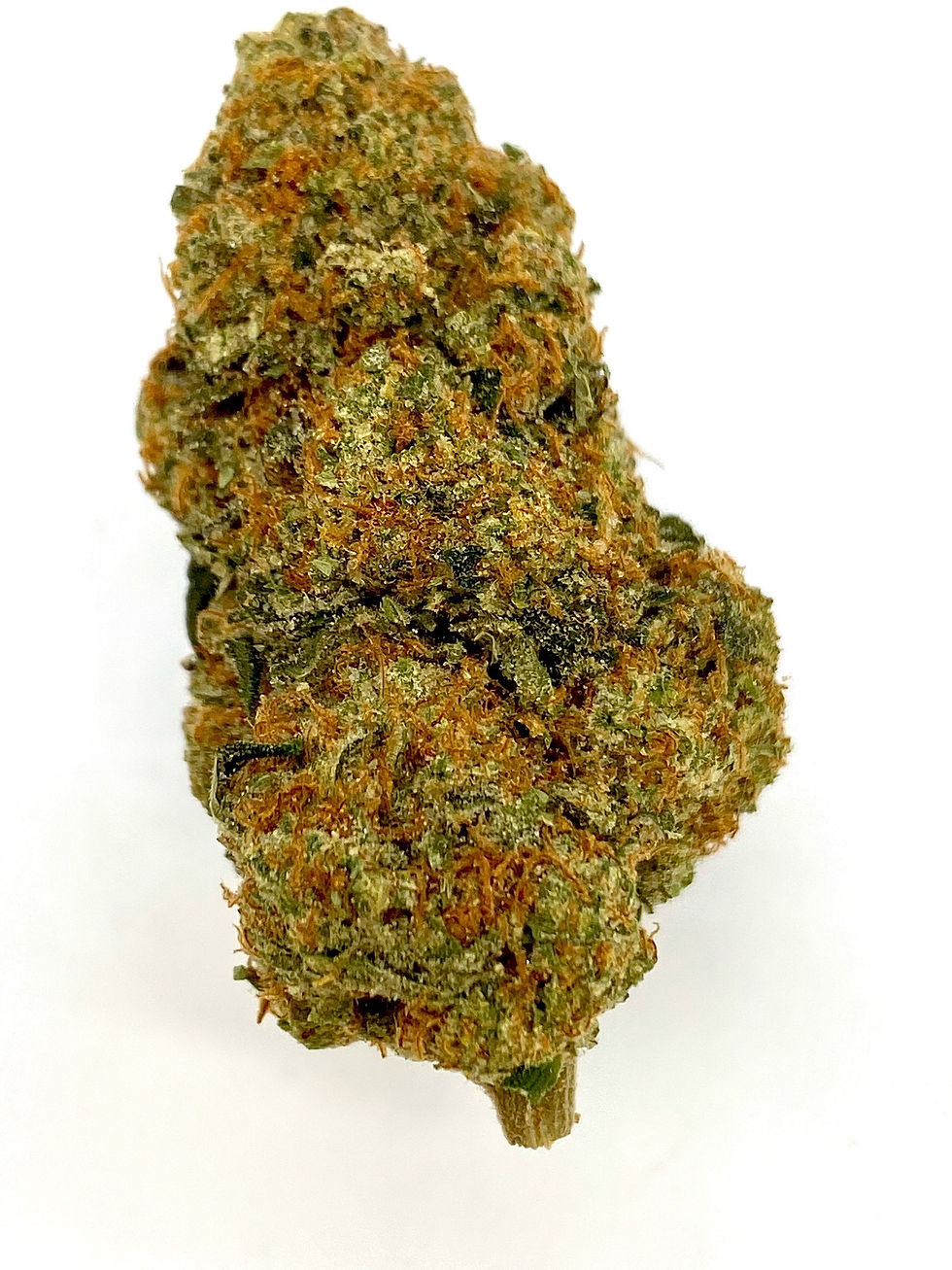INDOOR FLOWER