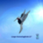 Thumbnail: Hummingbird 11"