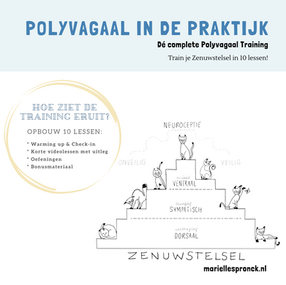 Polyvagaal Basis