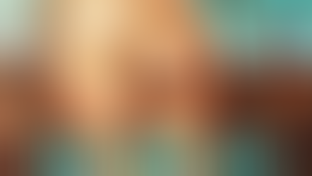 Der Erbe des Cowboys