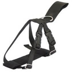 Thumbnail: Pet Seatbelt