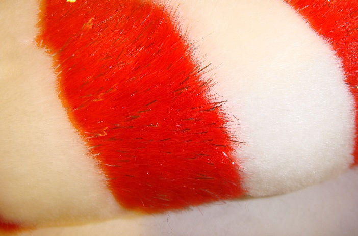 Thumbnail: Candy Cane