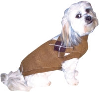 Thumbnail: Ivy League Argyle