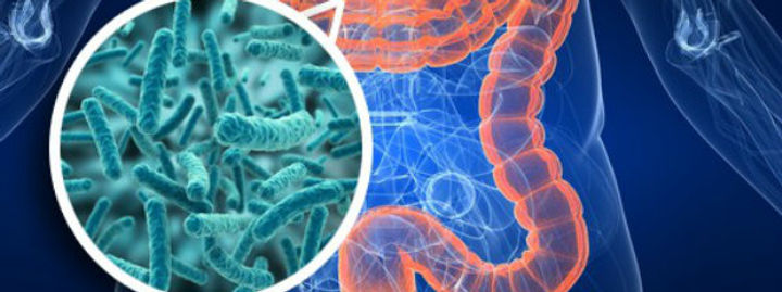 Podcast Area Bienestar Físico: Microbiota