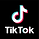 TikTok Logoo.png
