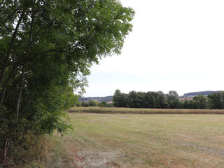 Spendenlauf "Jeder Kilometer zählt" 2019