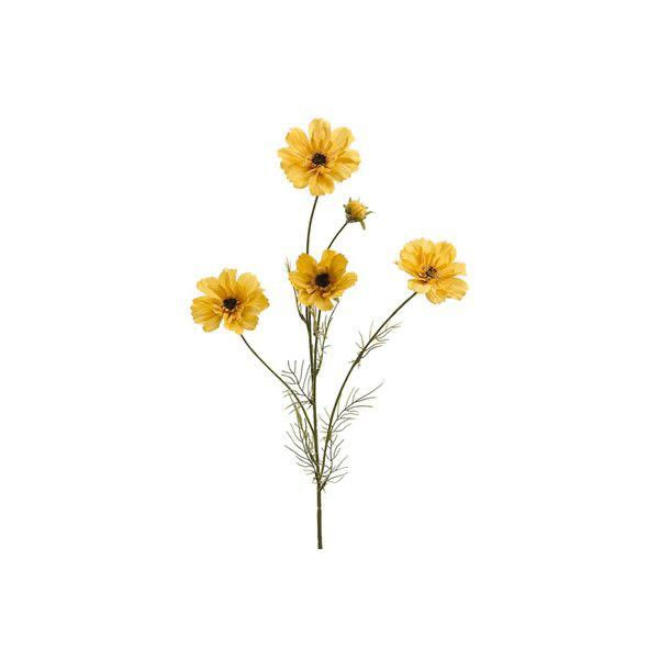 Com influeixen les flors en el nostre estat d’ànim?