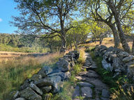 Ty i ja też... i jeszcze sowa