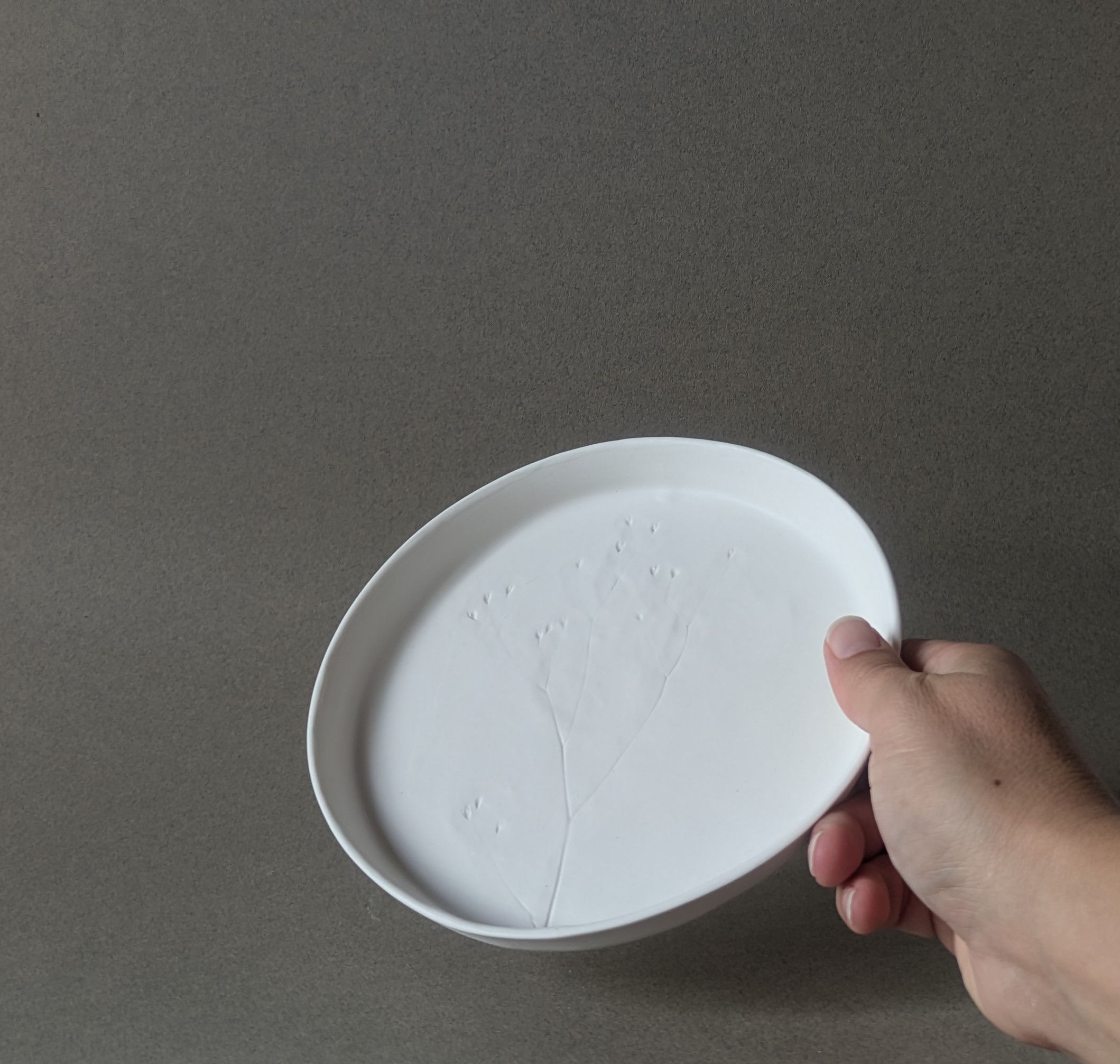 ASSIETTE végétale - prototype