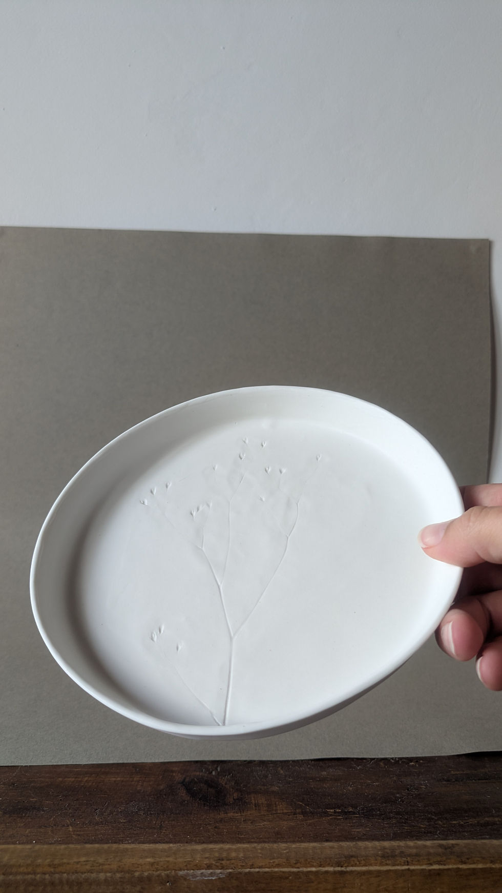 Miniature : ASSIETTE végétale - prototype 