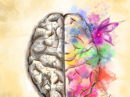 Dominanța emisferelor