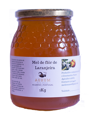 Mel de Flรดr de Laranjeira - 1kg