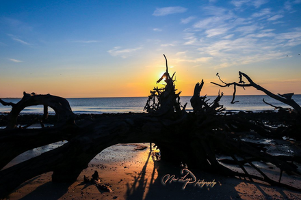 Boneyard Beach, Florida