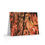 Thumbnail: Artist's print on Greeting cards (Thank you so very much)  (8, 16, 24 pcs)(0173)