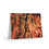 Thumbnail: Greeting cards Blank Inside (8, 16, and 24 pcs)(0173)