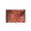 Thumbnail: Artist's print on Greeting cards  - Thank you so very much (8, 16, 24 pcs)(0148)