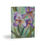 Thumbnail: Purple Isis in Bloom on Greeting cards - Blank Inside (8, 16, 24 pcs) (0562)