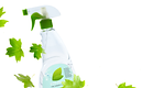 Glass Cleaner with Leaves