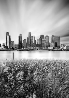 A fine art black and white photograph of a Canary Wharf cityscape with the Thames River and some reeds in the foreground. London art photography. Urban art photography. Photography art print. Wall art. London architecture. 