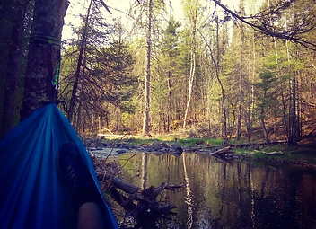 Hammock Camping on the Sucker River.jpg