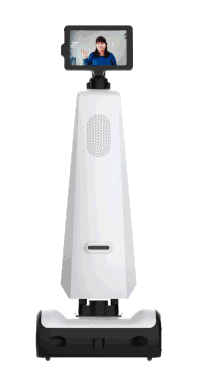 telepresence_360.gif