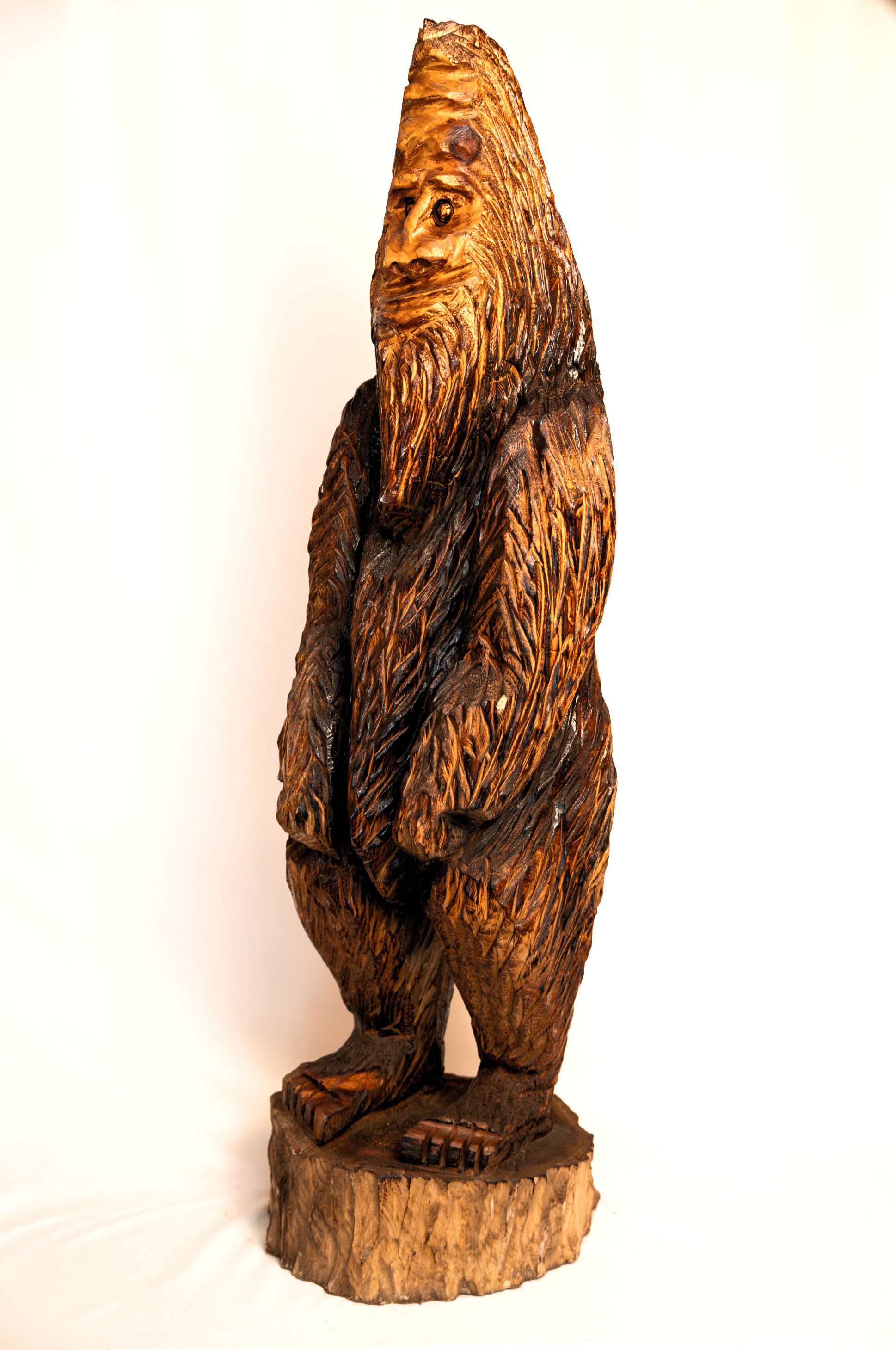 Timberline Sasquatch