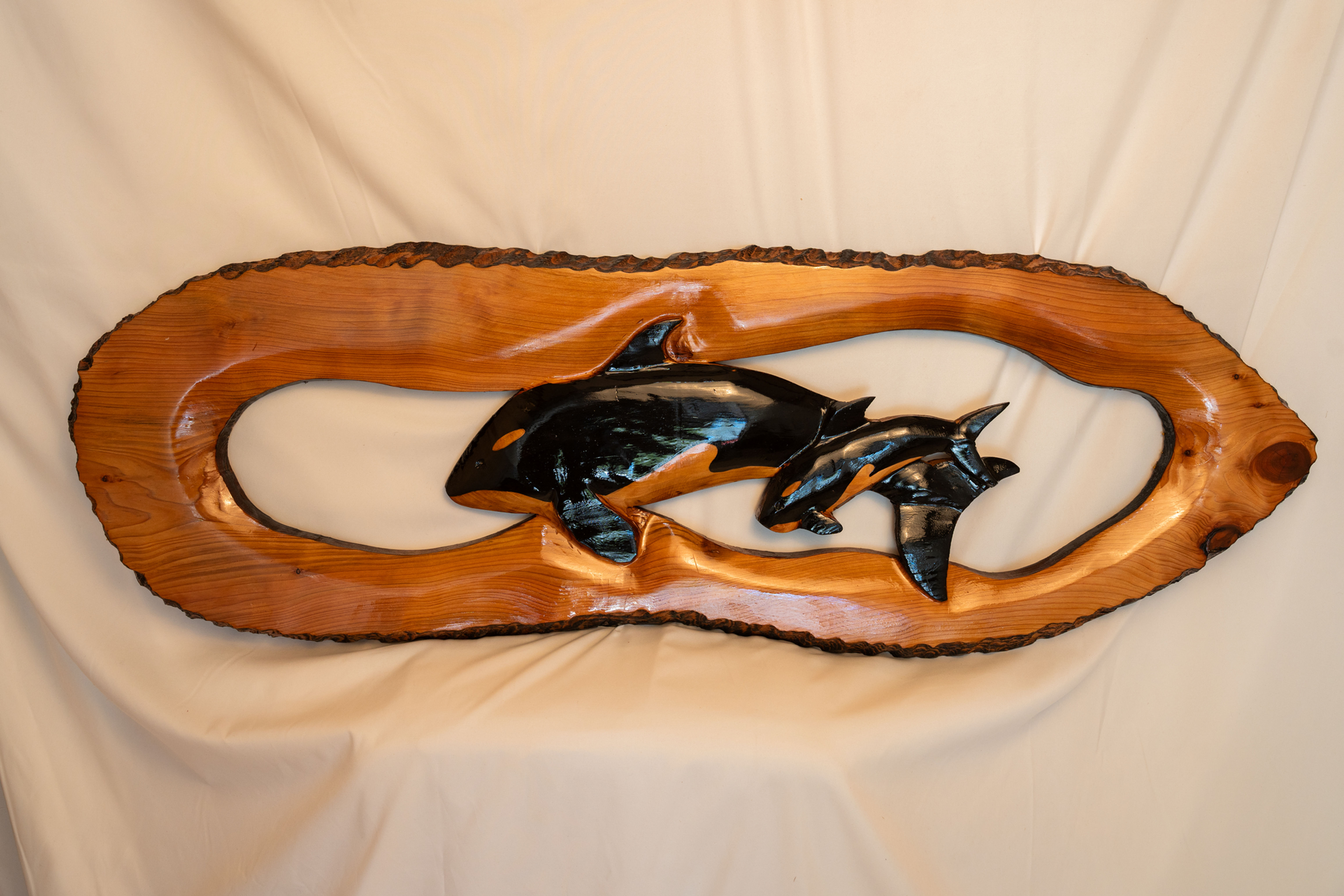 Orca Whale Family